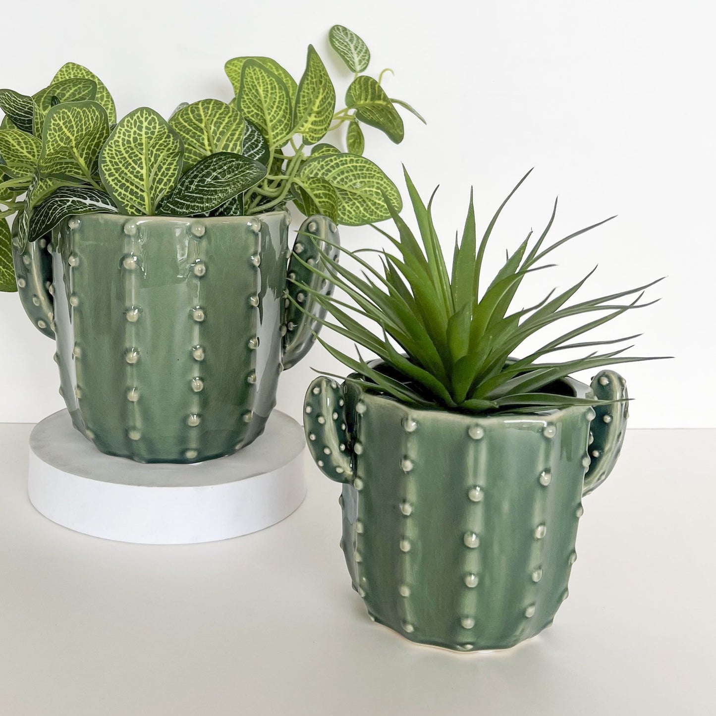 Cactus Planters