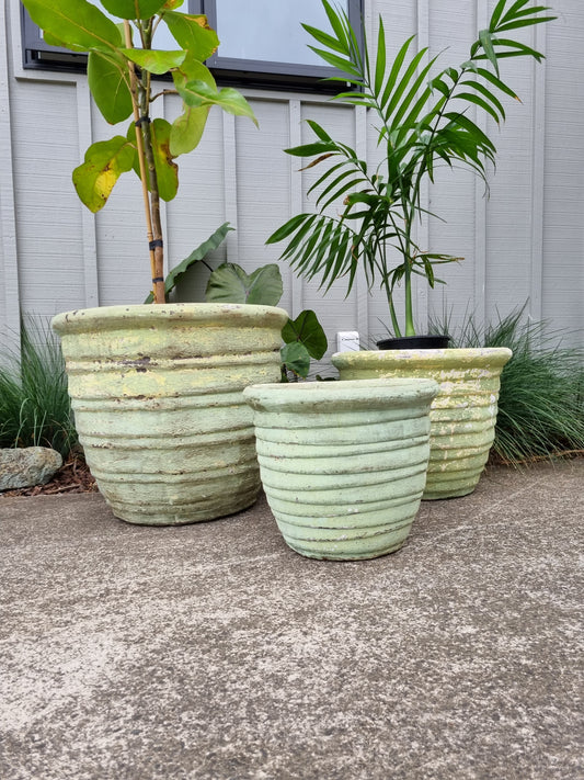 Roll Top Relic Green