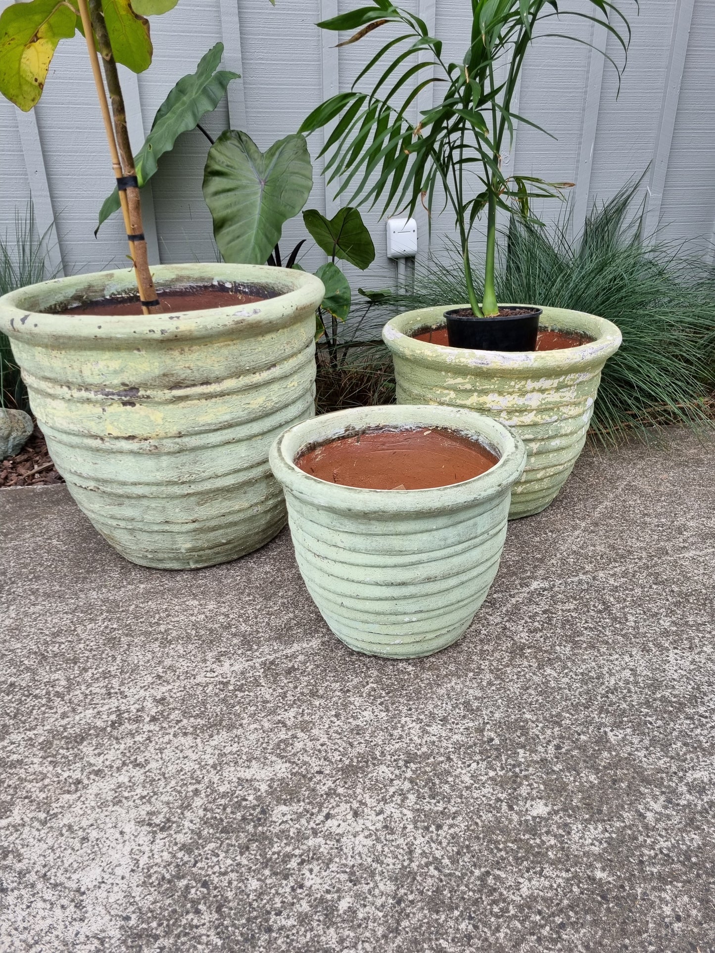 Roll Top Relic Green