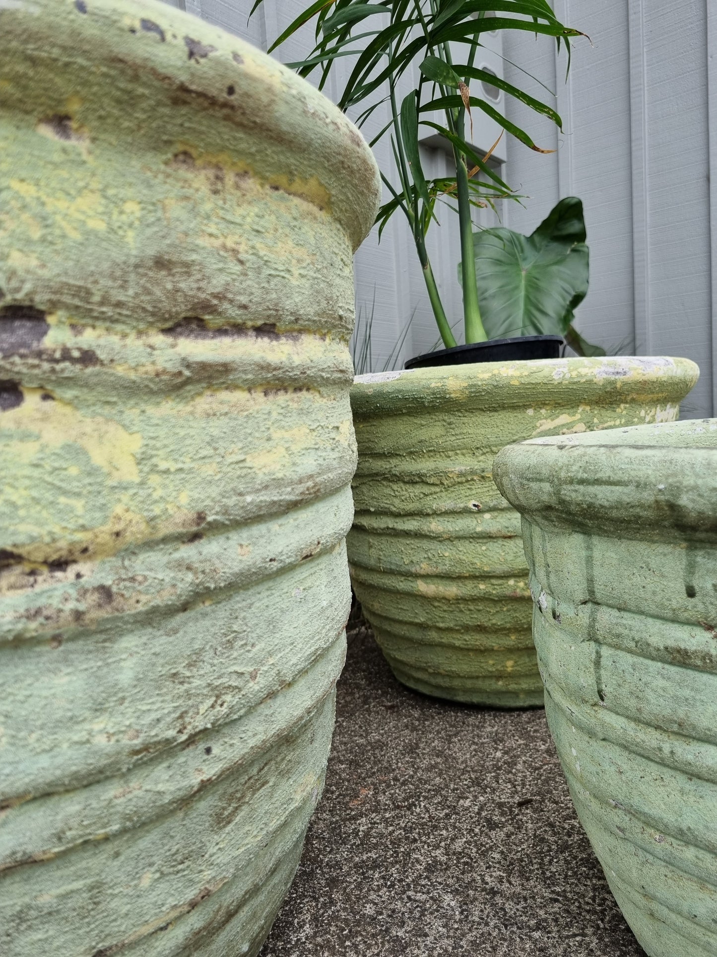 Roll Top Relic Green