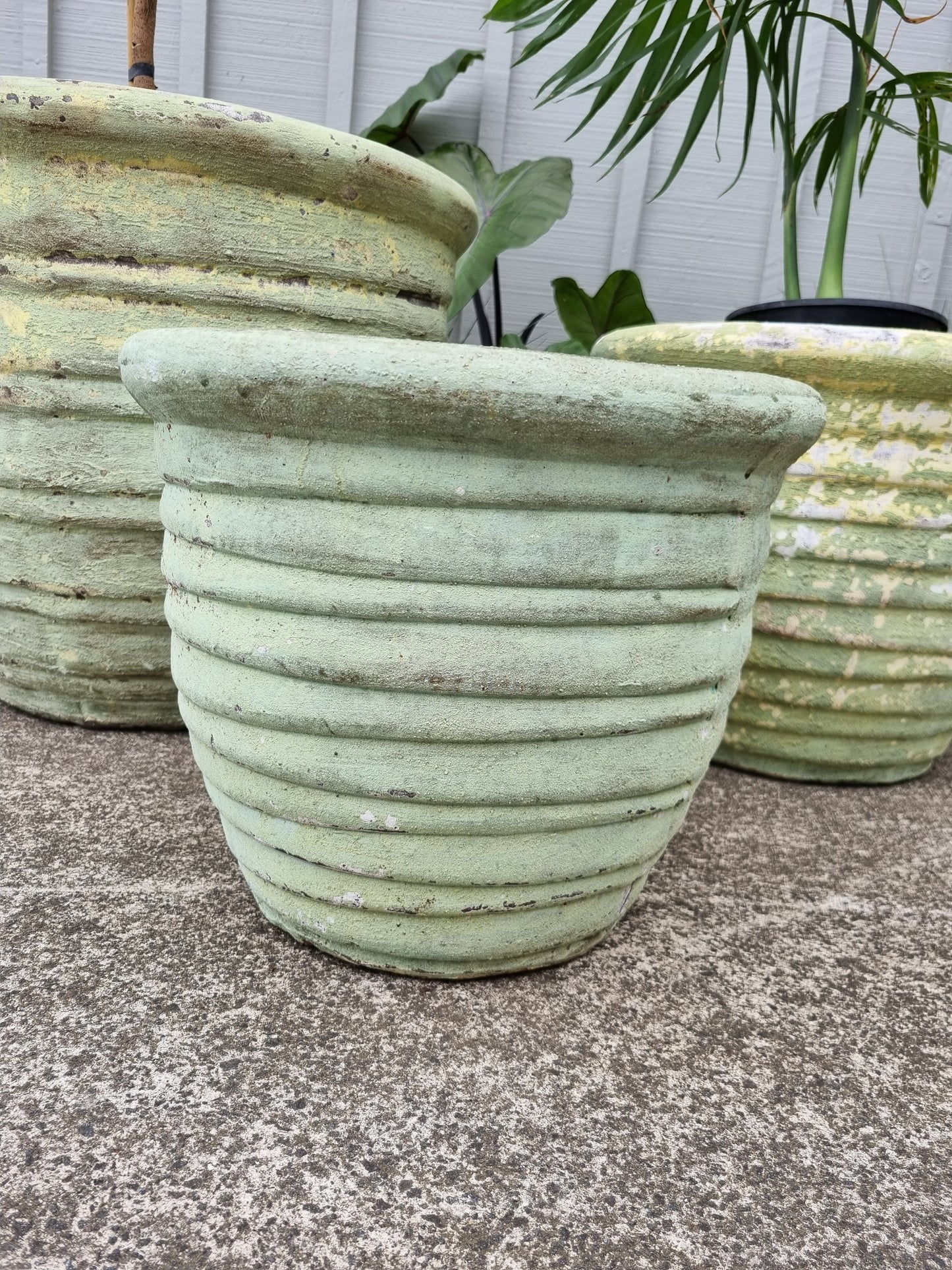 Roll Top Relic Green