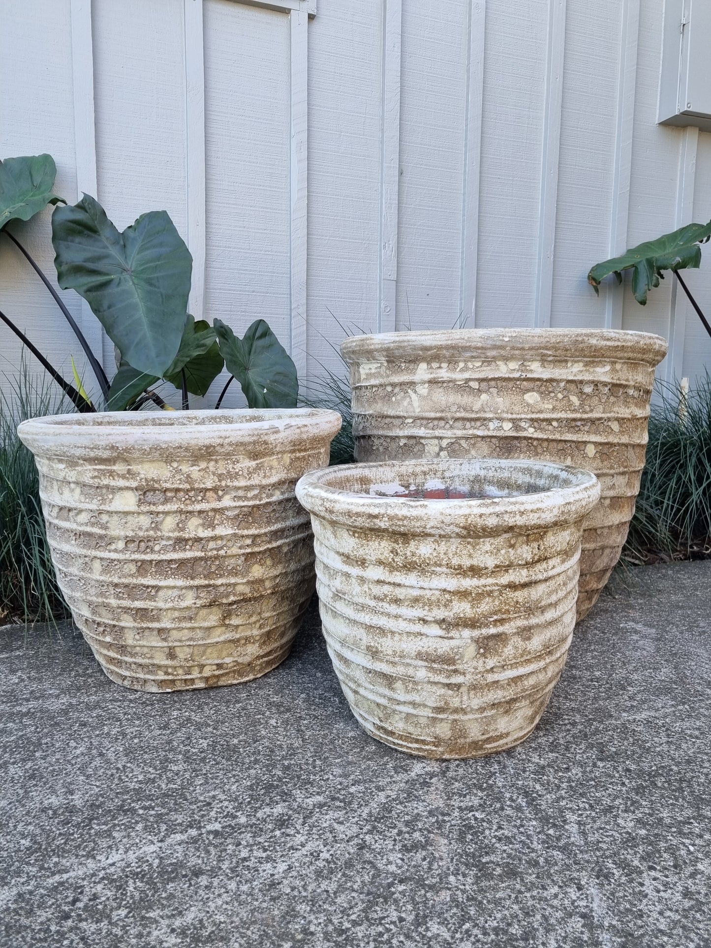 Roll Top Pots - Neutral