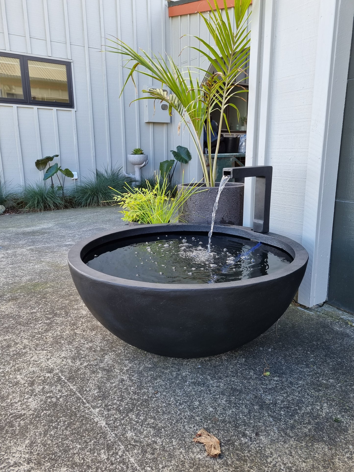 Patio Pond Black - Large