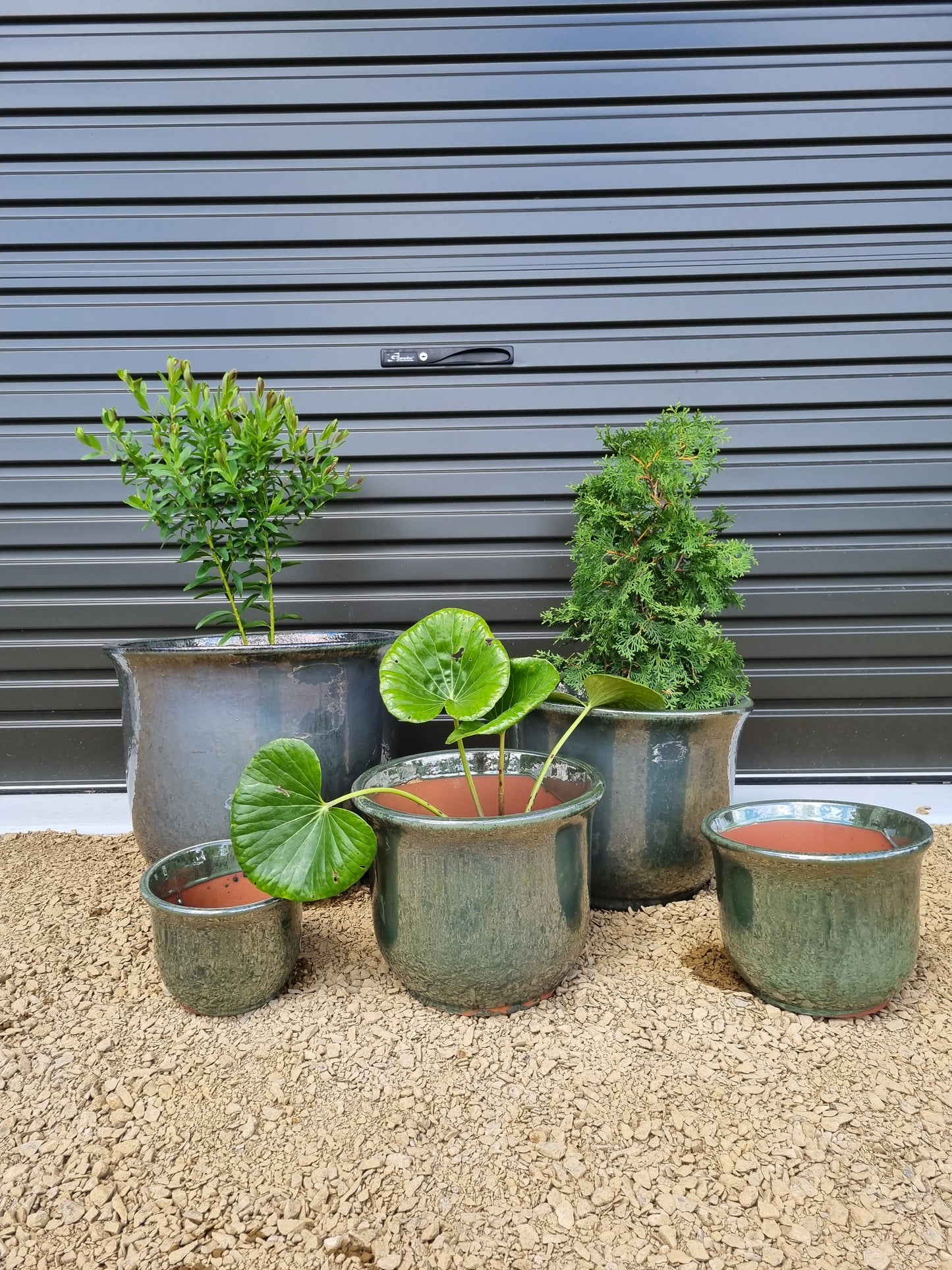 Mirror Green Pots