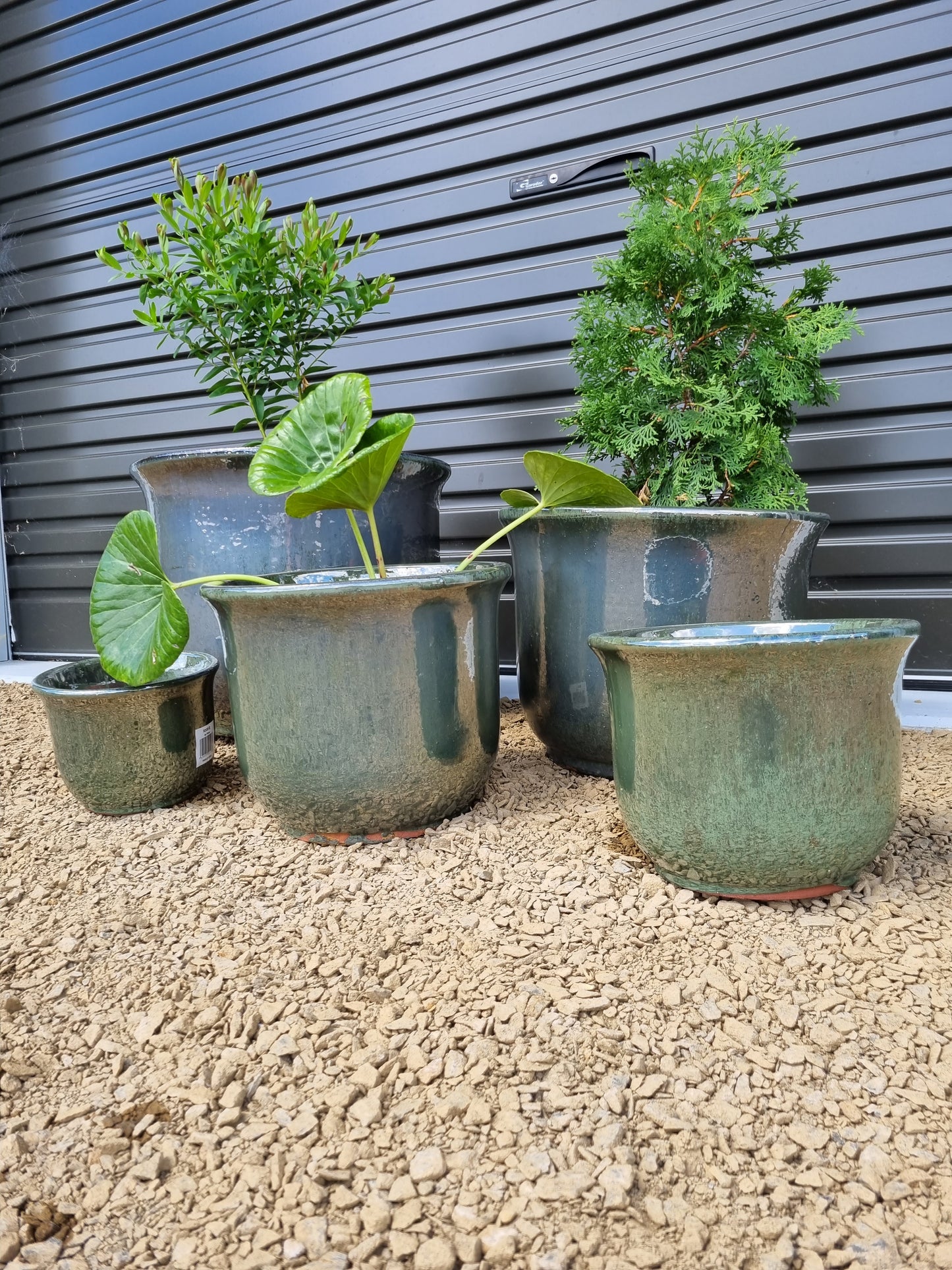 Mirror Green Pots