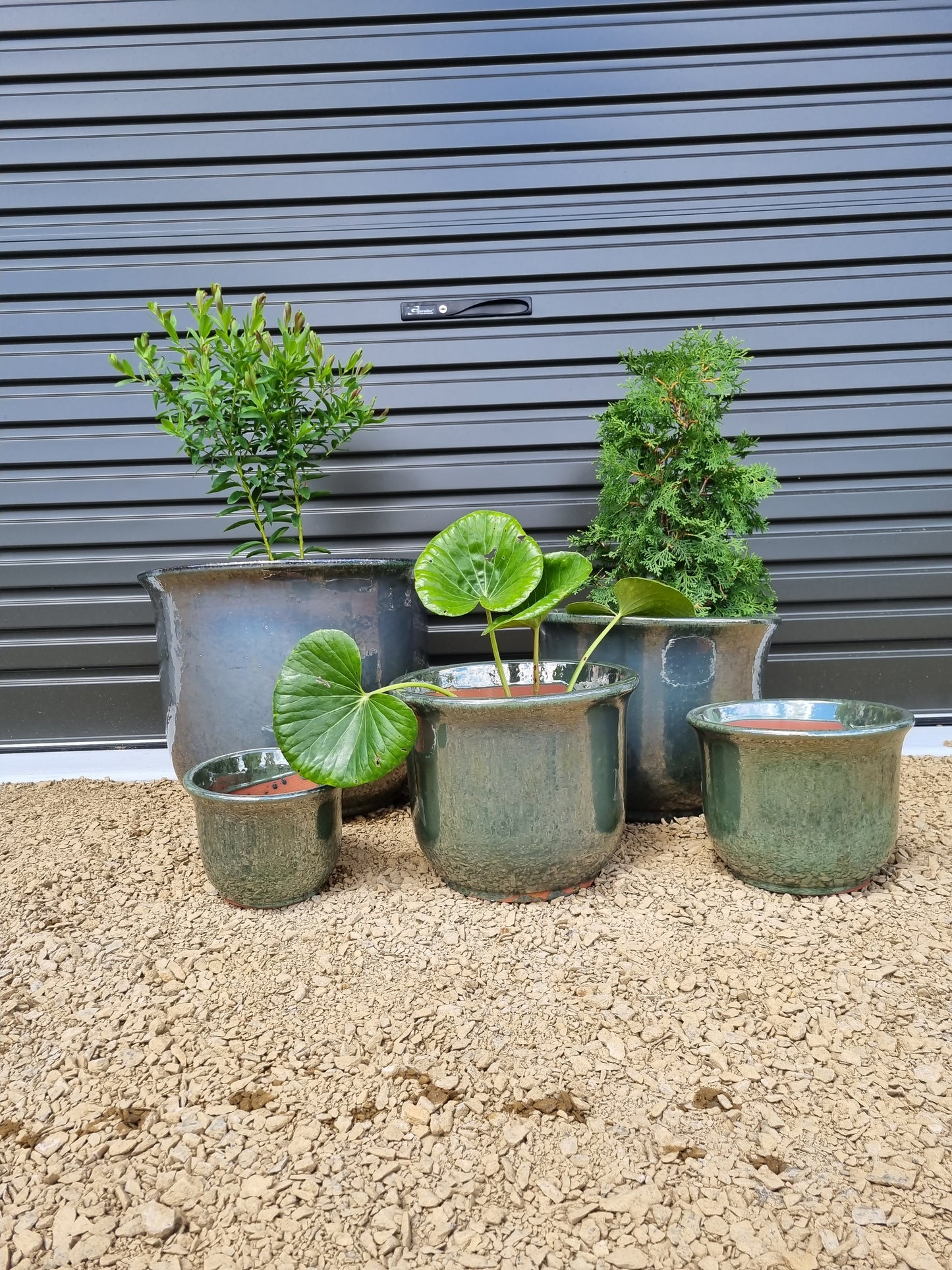 Mirror Green Pots