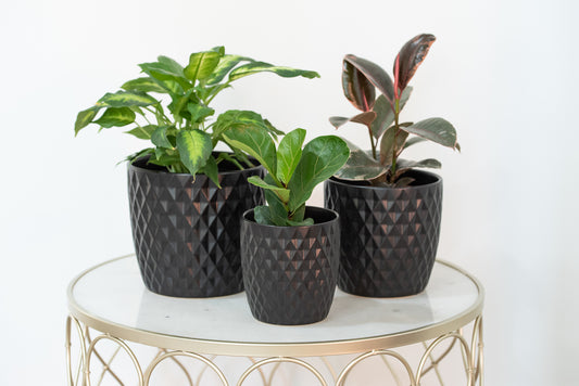Diamond Pots - Black