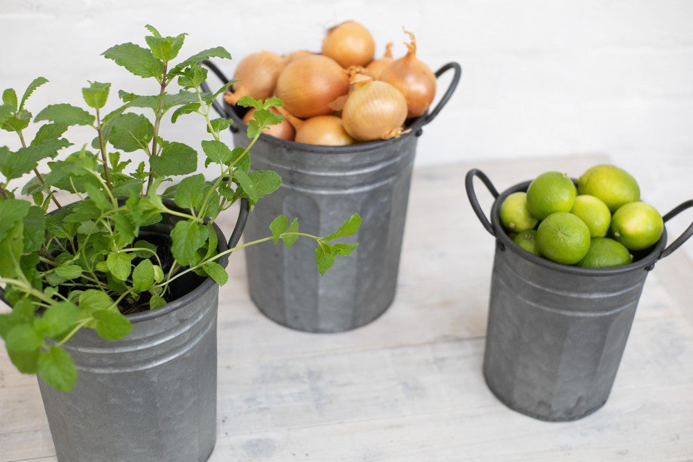 Metal Garden Pails