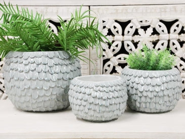 Kasia Planters