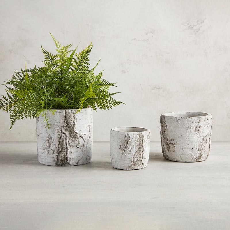 Tree Bark Cement Planters