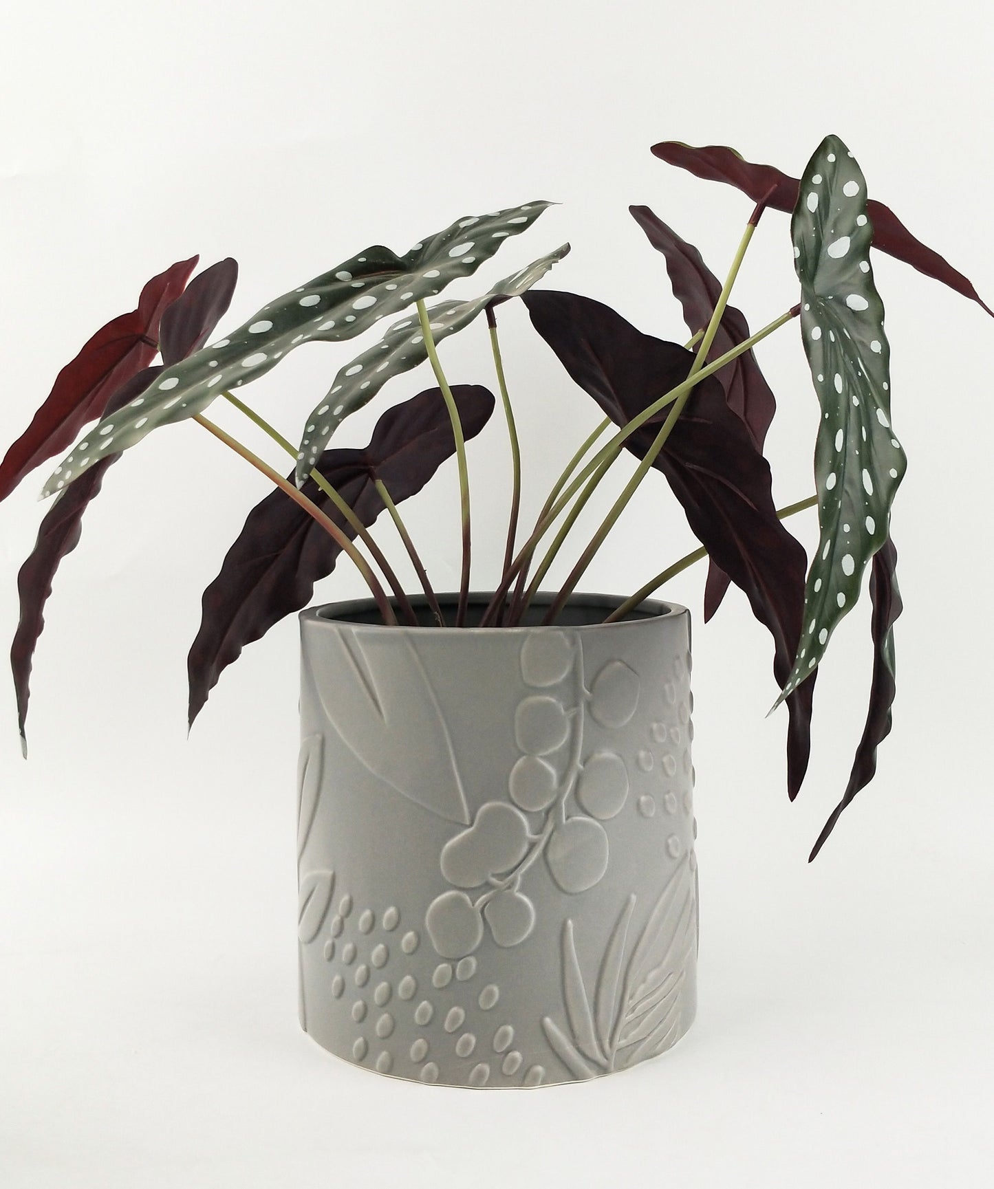 Caprice Foliage Planter - Smoke