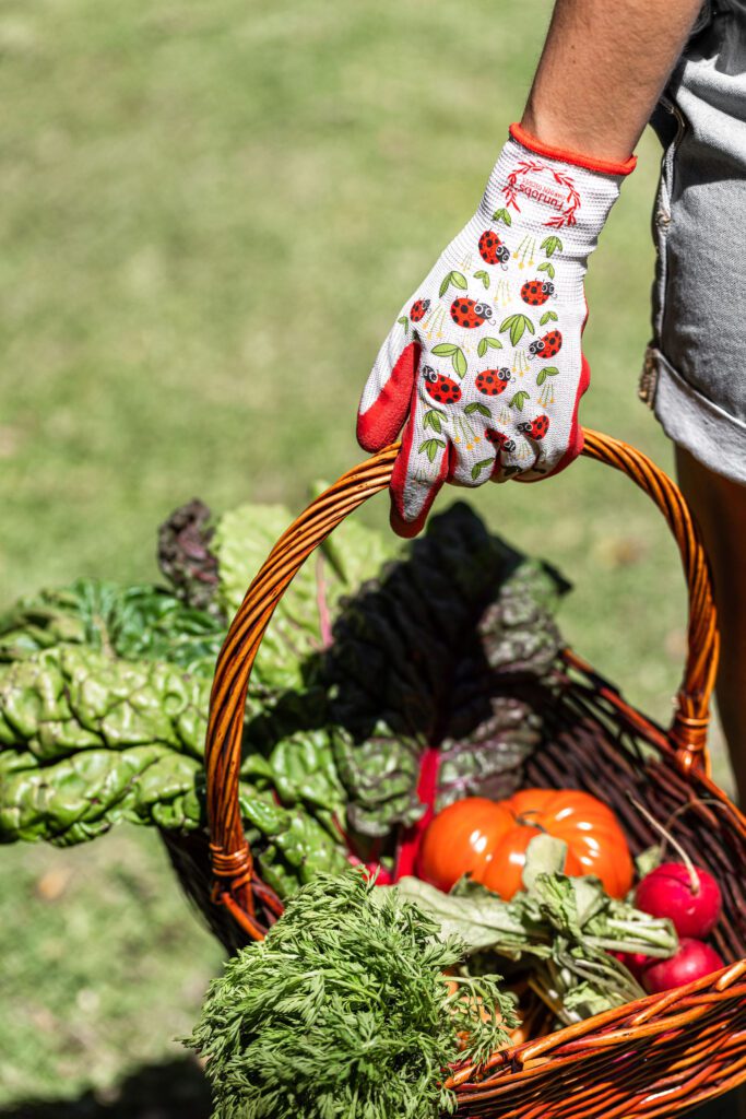 FunJobs - Gardening Gloves Lady Bugs