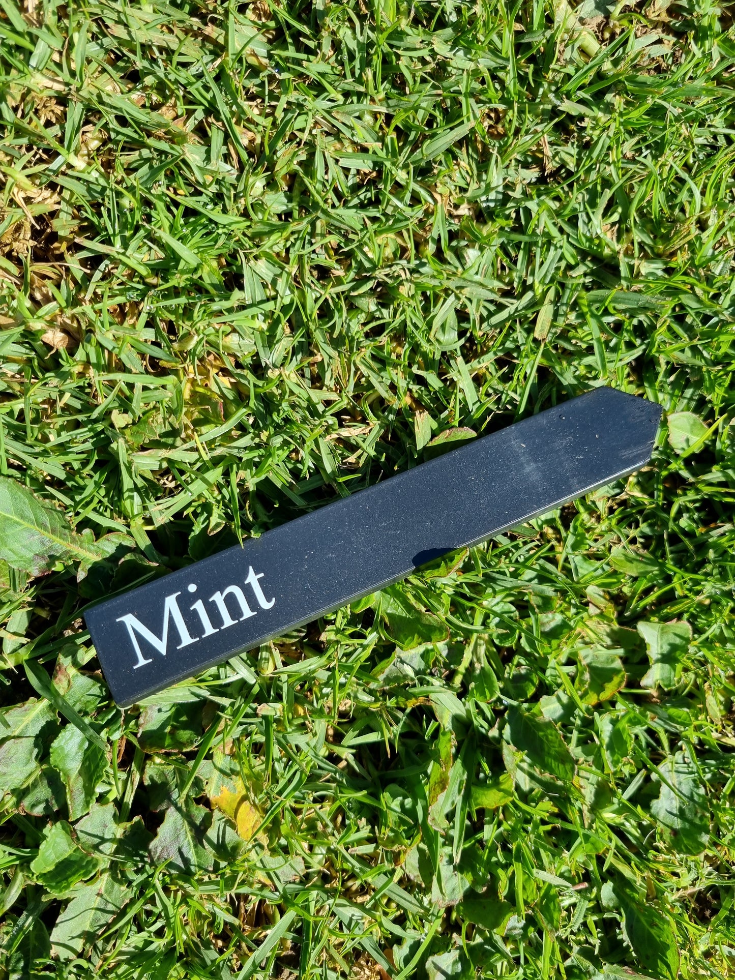 Recycled Herb Label - Mint