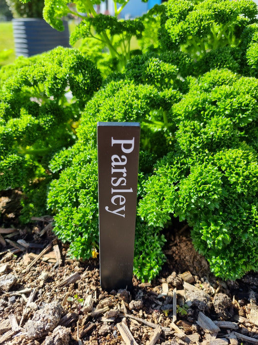 Recycled Herb Label - Parsley