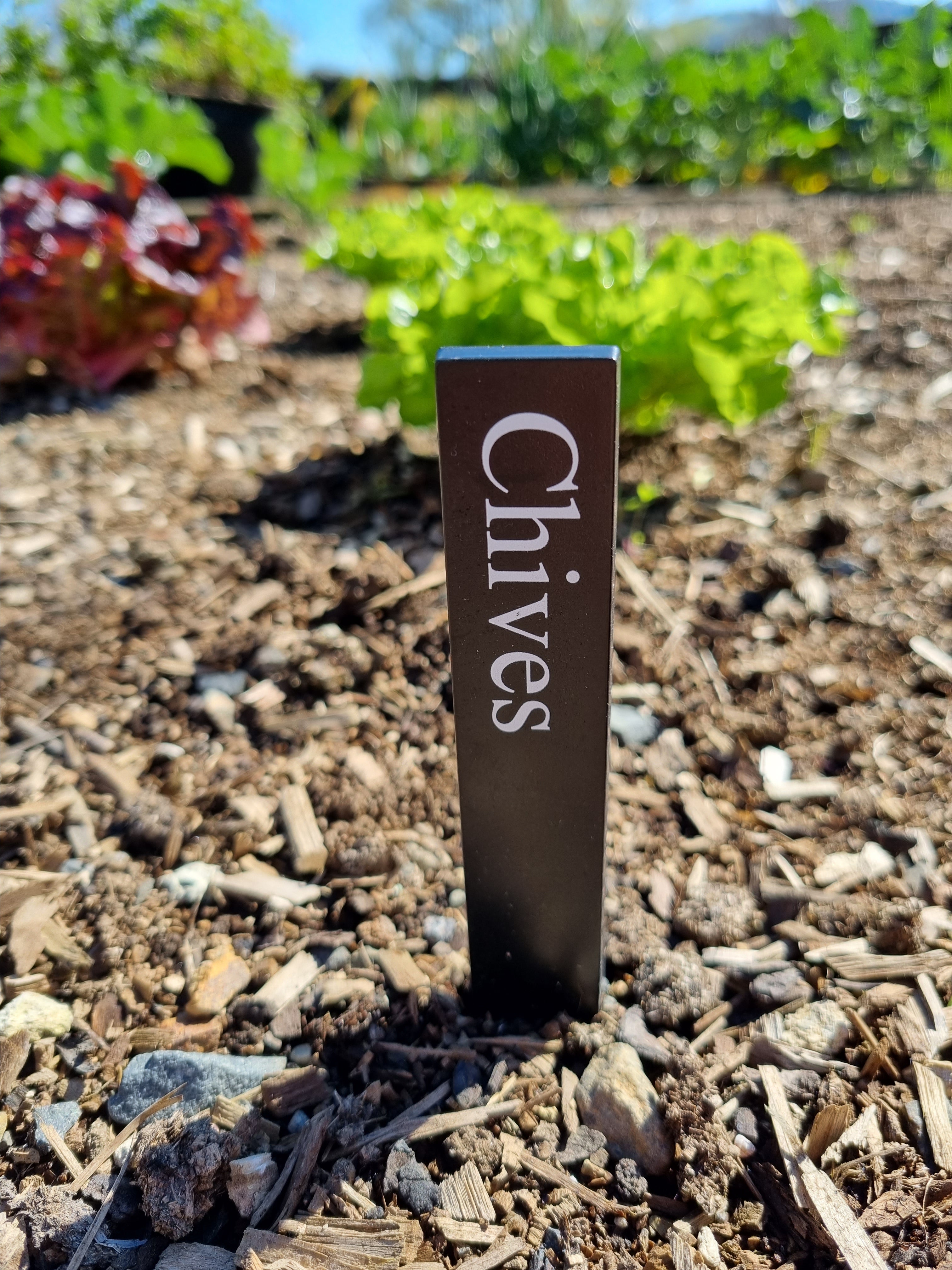 Recycled Herb Label - Chives – oasisgardennz
