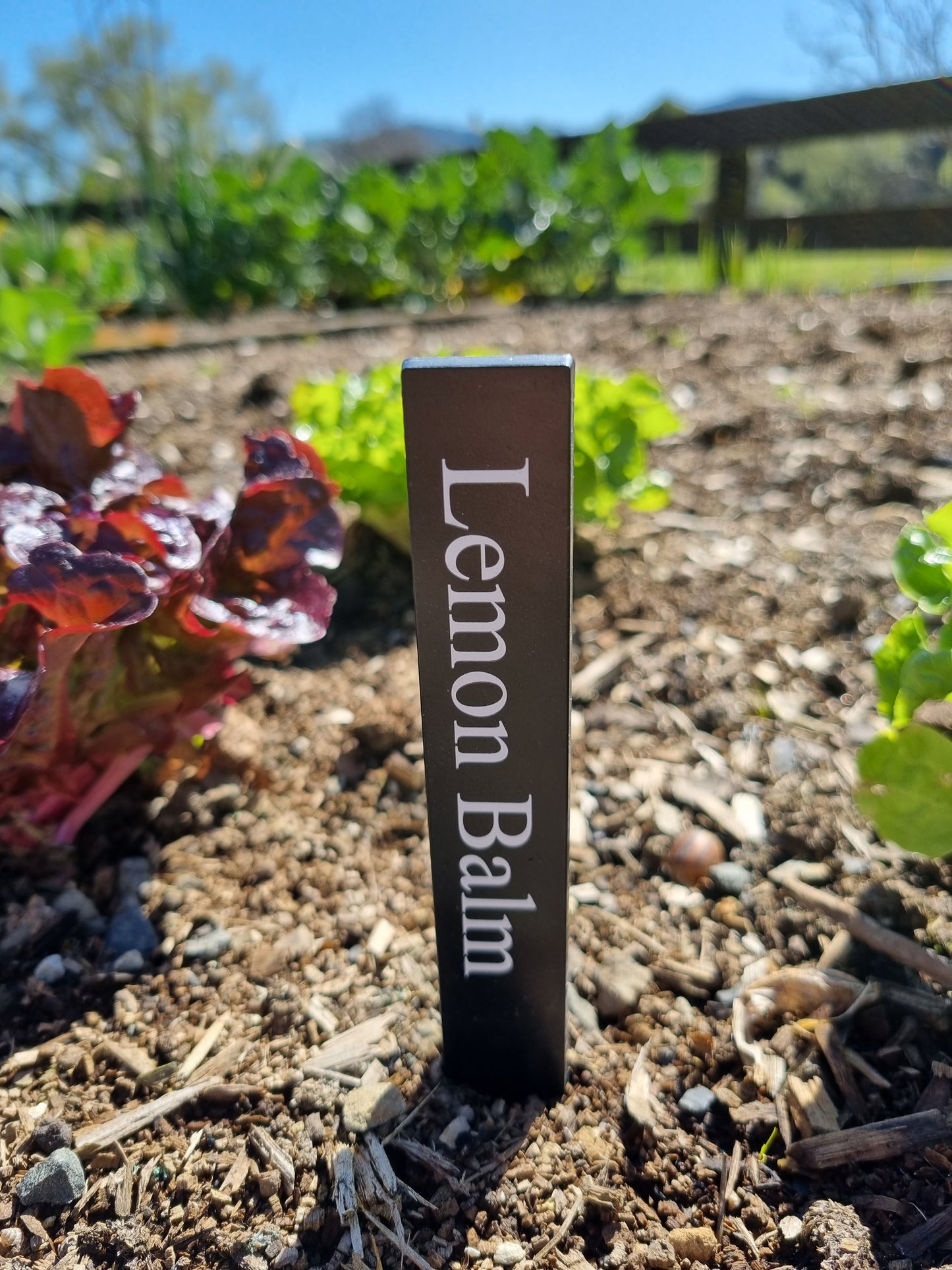 Recycled Herb Label - Lemon Balm