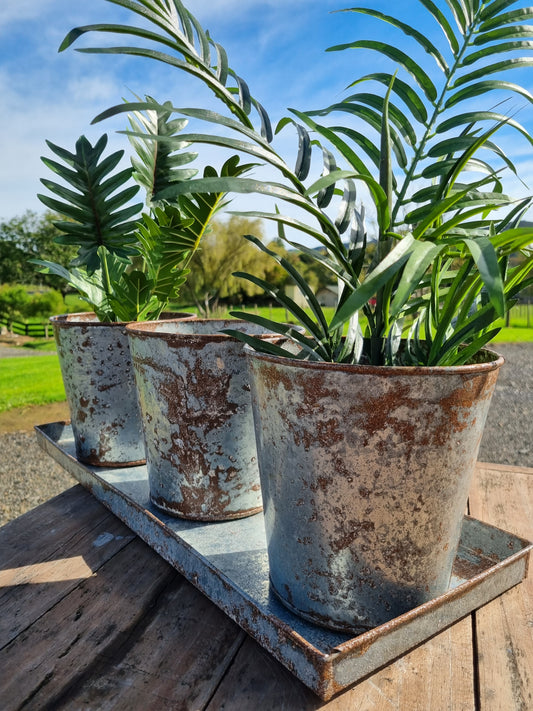 Three Panters on Tray - Zinc