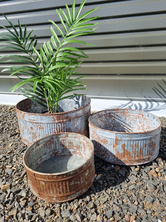 Vintage Zinc Trays / Planters