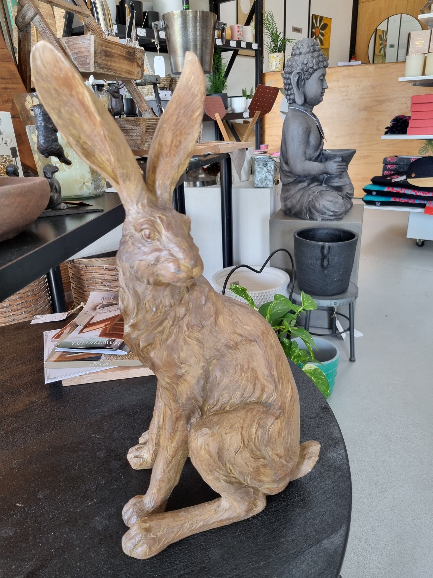 Sitting Country Hare - Indoor Earth