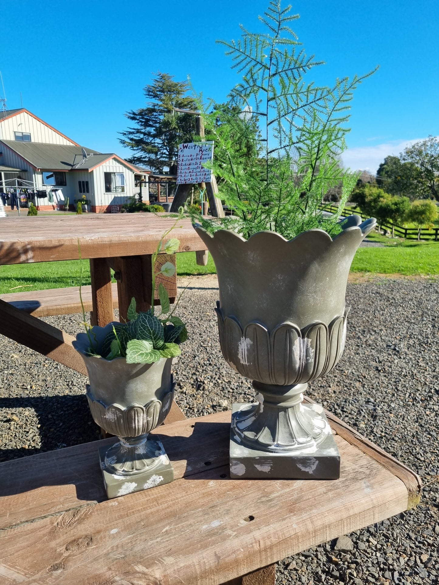 Lotus Urn