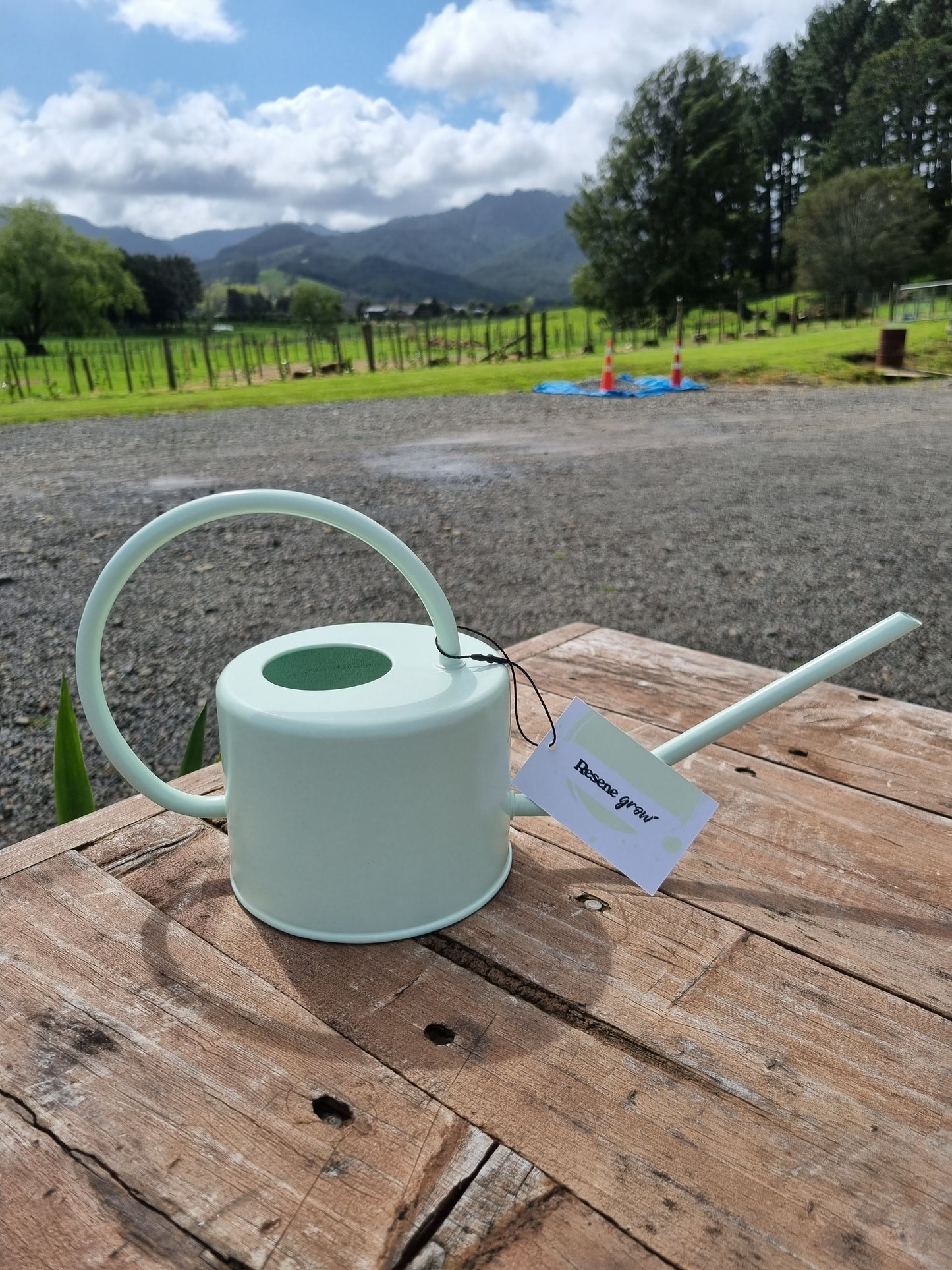 Resene Watering Can - 1L Snowy Mint