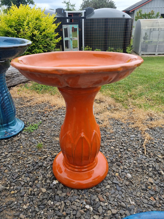 Orange Tulip Bird Bath