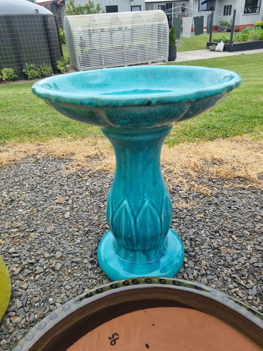 Turquoise Tulip Bird Bath