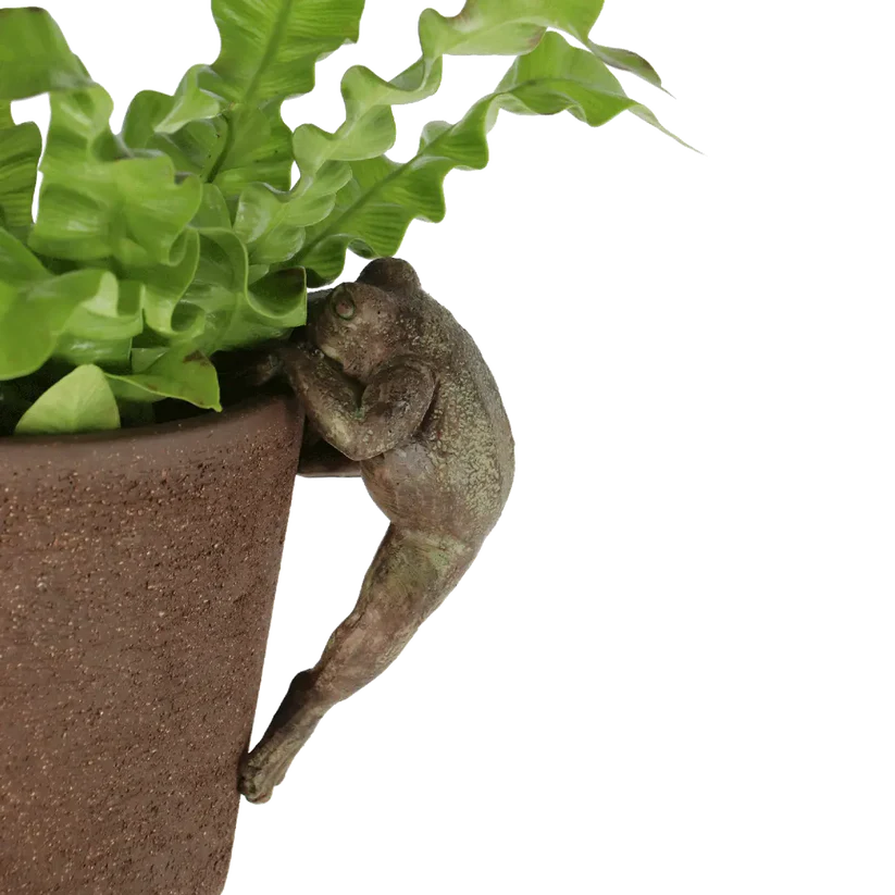 Pot Rim Decor - Rustic Frog