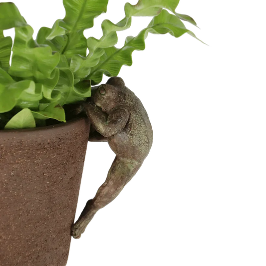 Pot Rim Decor - Rustic Frog