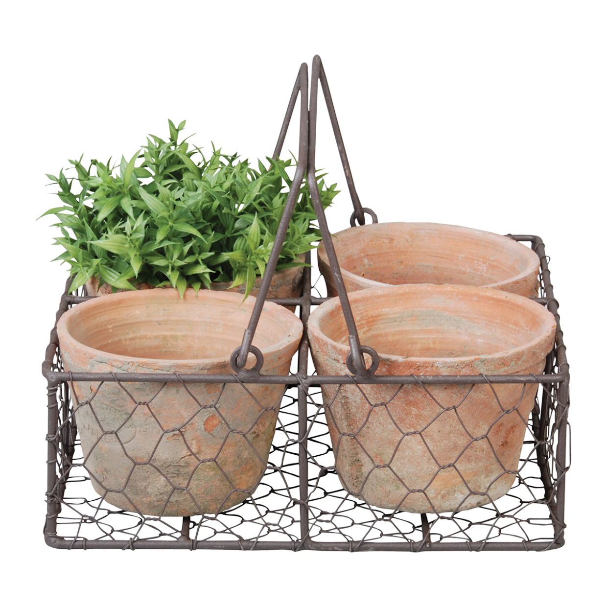 Wire Basket with Terracotta Pots