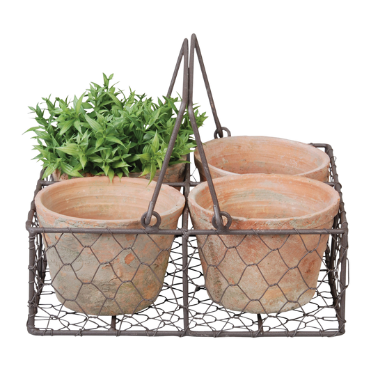 Wire Basket with Terracotta Pots