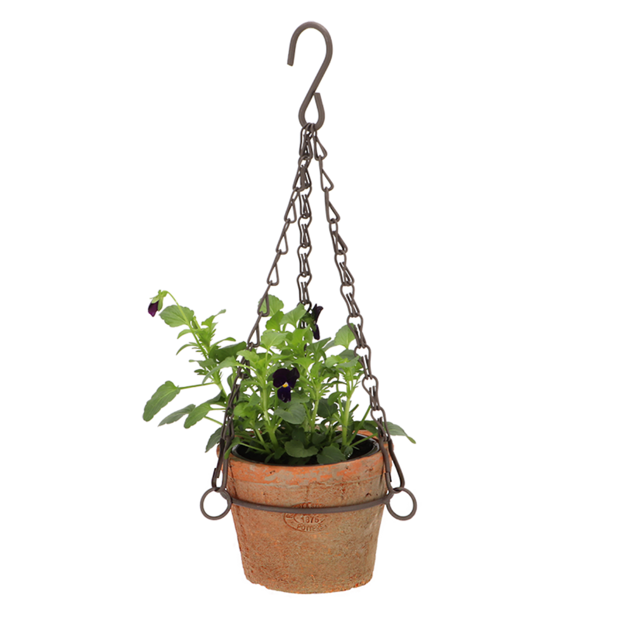 Hanging Terracotta Pot with Wire Frame - Small