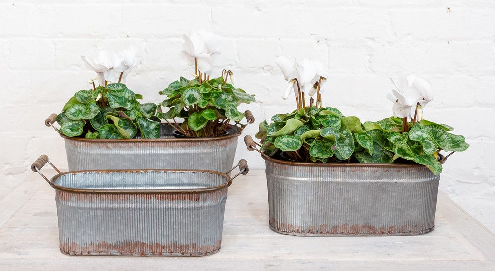 Farmhouse Long Oval Trugs