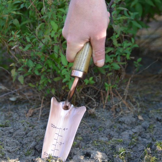 Copper Plated Shovel