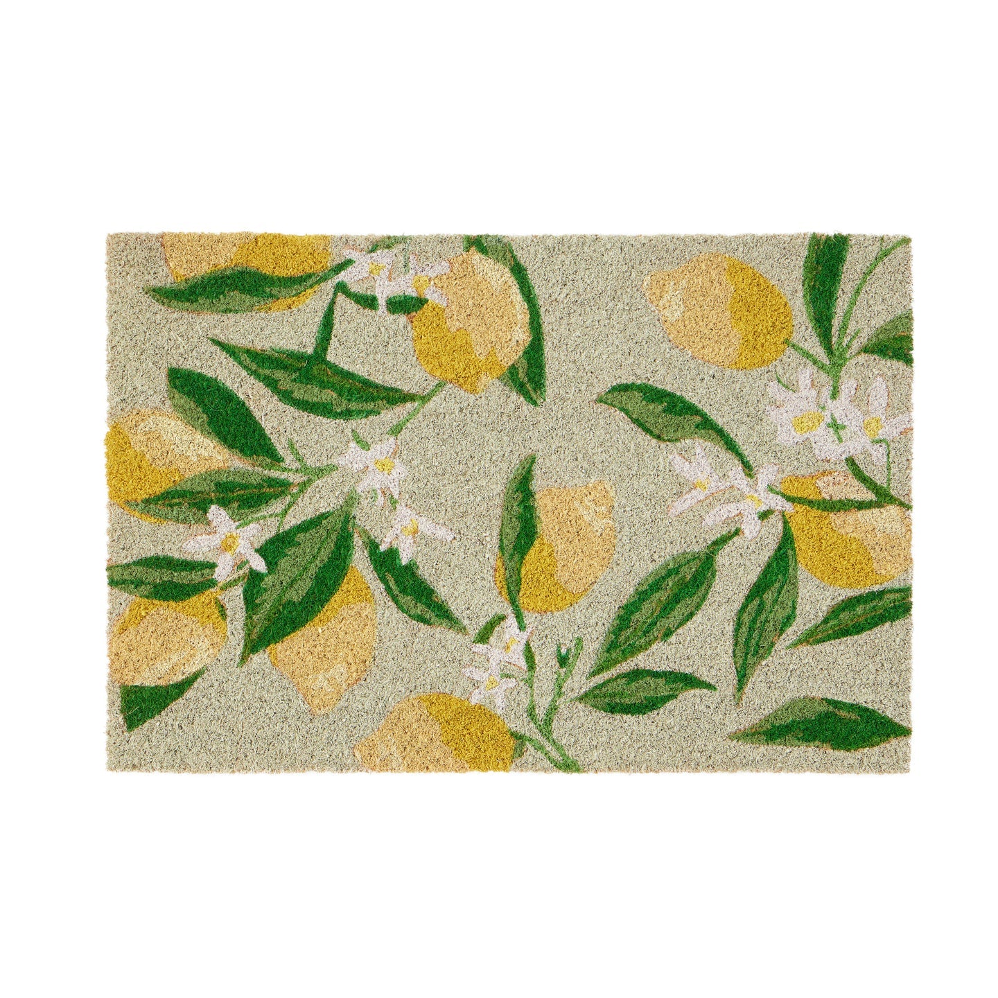 Coir Door Mat | Limone