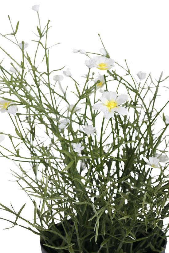 Faux Daisy Wild Flower - White