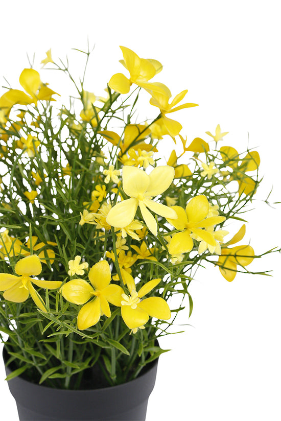 Faux Celeandine Wild Flower