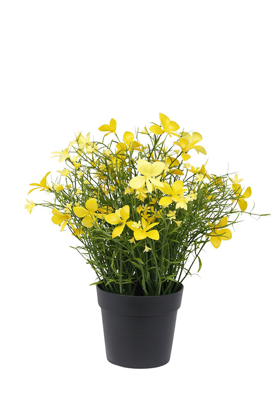 Faux Celeandine Wild Flower