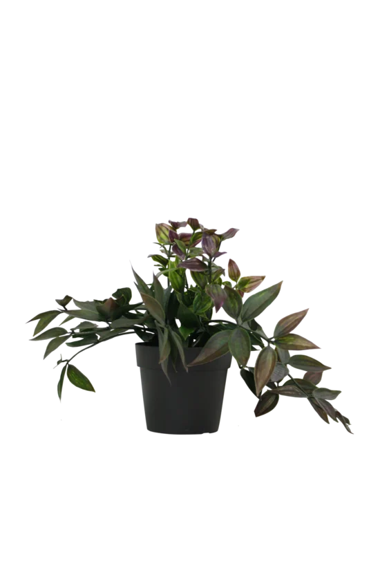 Faux Wandering Dew Green/Purple