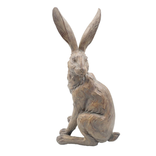 Sitting Country Hare - Indoor Earth