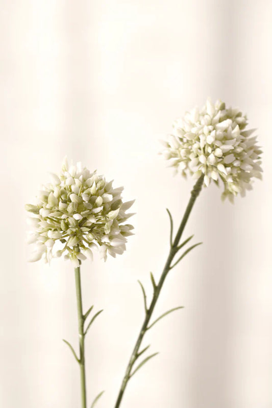 Faux Mini Allium Cream 46cm