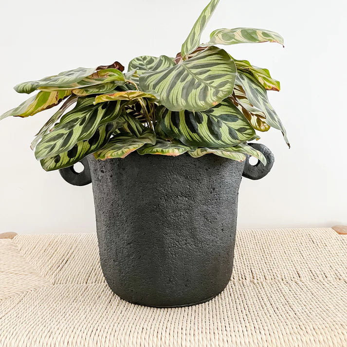 Side Handle Cement Planter - Black