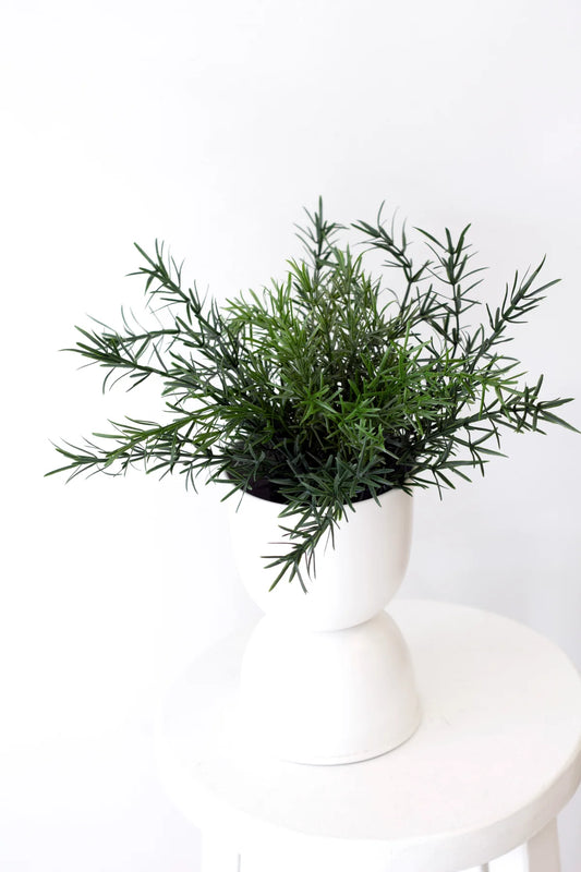 Faux Asparagus Fern Bush - 22cm