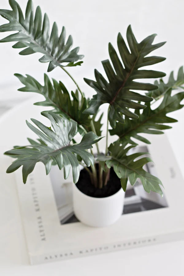 Faux Potted Xanadu Philodendron 38cm