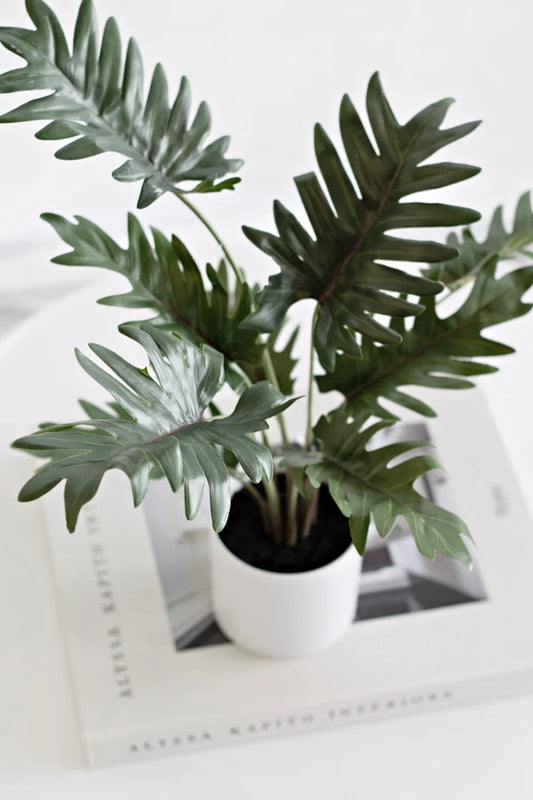 Faux Potted Xanadu Philodendron 38cm