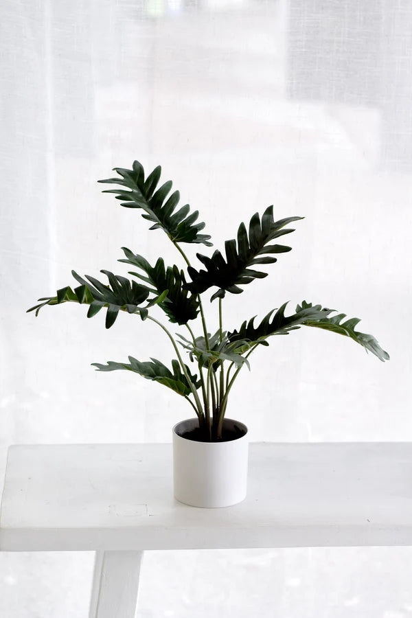 Faux Potted Xanadu Philodendron 38cm