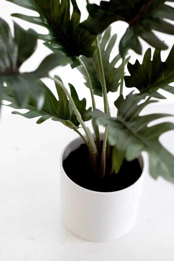 Faux Potted Xanadu Philodendron 38cm