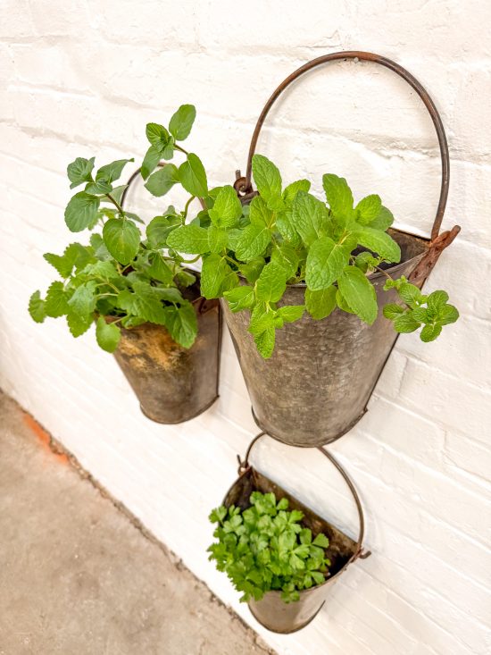 Iron Wall Bucket