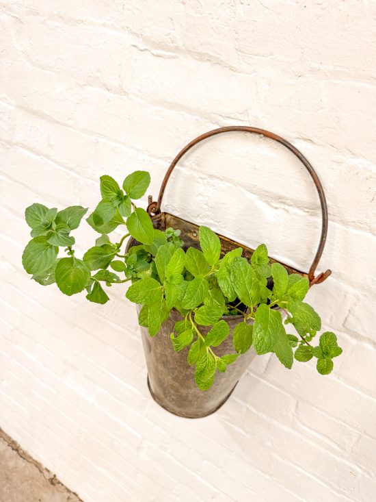 Iron Wall Bucket