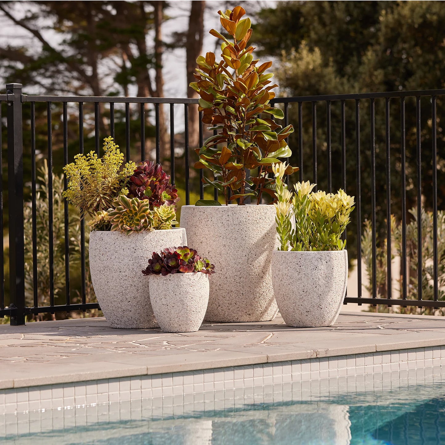 Montague Eggs Pots - White Pebble